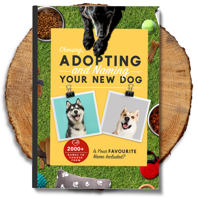 Choosing, Adopting and Naming Your New Dog Ebook